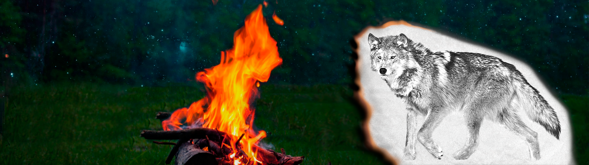 They kill the wolves cover